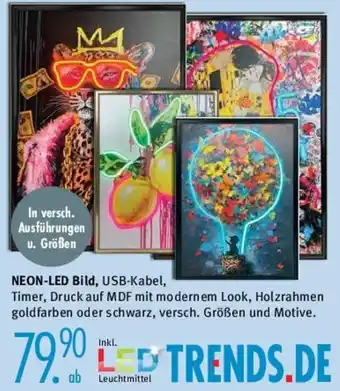 Trends Möbel NEON-LED Bild Angebot