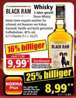 Norma Black Ram Whisky Angebot