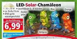Norma LED-Solar-Chamäleon Angebot