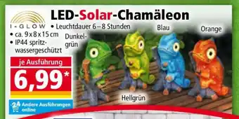 Norma LED-Solar-Chamäleon Angebot