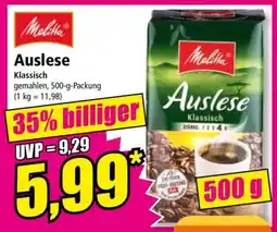 Norma Auslese Angebot