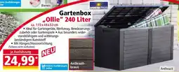 Norma Gartenbox „Ollie“ 240 Liter Angebot