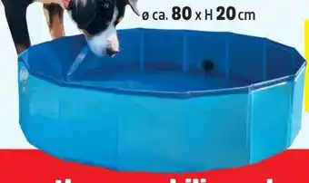 Thomas Philipps Hundepool Angebot