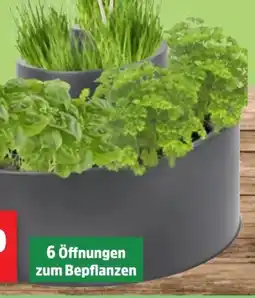 Thomas Philipps Kräuter-Spiraltopf Angebot