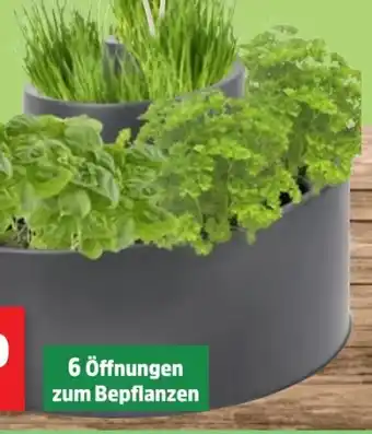 Thomas Philipps Kräuter-Spiraltopf Angebot
