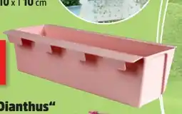 Thomas Philipps Easy-Pflanzgefäß Angebot