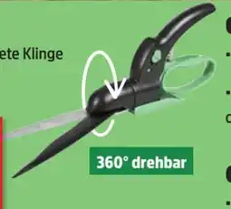 Thomas Philipps Grüner Jan Grasschere Angebot