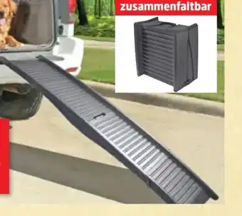 Thomas Philipps Hunderampe Angebot