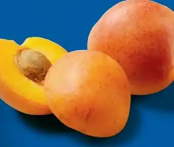 Lidl Bio-Aprikosen Angebot