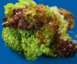 Lidl Salat Multicolor Angebot