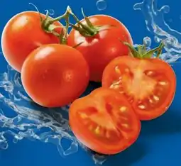 Lidl Cocktailstrauchtomaten Angebot