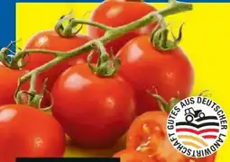 Lidl Bio Cocktailstrauchtomaten Angebot