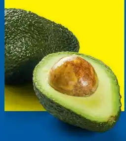 Lidl Avocados Hass Angebot