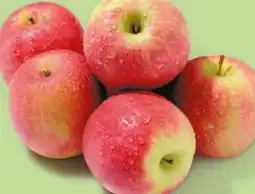 NETTO Äpfel Cripps Pink Angebot
