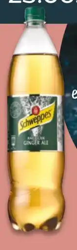 NETTO Schweppes Ginger Ale Angebot