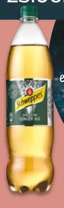 NETTO Schweppes Ginger Ale Angebot