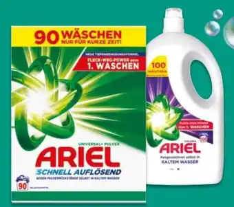 NETTO Ariel Universal + Angebot