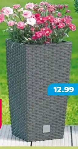 NETTO Blumentopf Rato Eckig Angebot