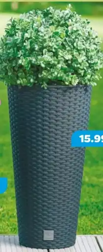 NETTO Blumentopf Rato Rund Angebot