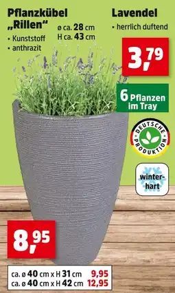 Thomas Philipps Pflanzkübel rillen Angebot
