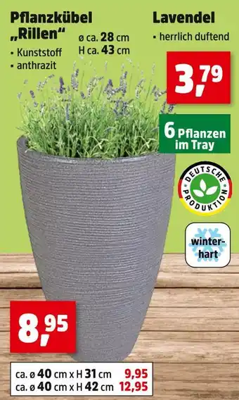 Thomas Philipps Pflanzkübel rillen Angebot