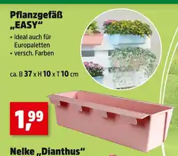 Thomas Philipps Pflanzgefäß easy Angebot