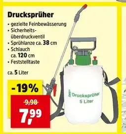 Thomas Philipps Drucksprüher drucksprüher Angebot