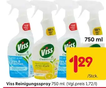 Rusta Viss reinigungsspray Angebot