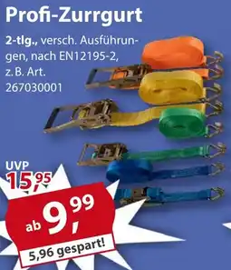 Sonderpreis Baumarkt Profi-Zurrgurt Angebot