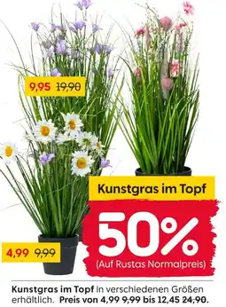Rusta Kunstgras im topf Angebot
