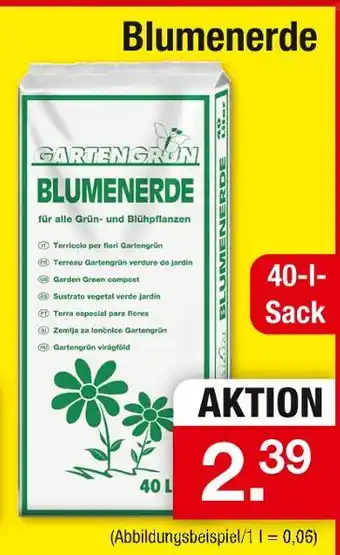 Zimmermann Garten grün blumenerde Angebot