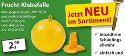 Sonderpreis Baumarkt Frucht-Klebefalle Angebot