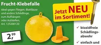 Sonderpreis Baumarkt Frucht-Klebefalle Angebot