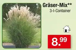 Zimmermann Gräser-mix Angebot