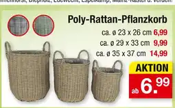 Zimmermann Poly-rattan-pflanzkorb Angebot