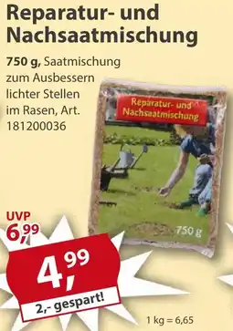 Sonderpreis Baumarkt Reparatur- und Nachsaatmischung Angebot