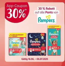 Rossmann 30 % rabatt Angebot