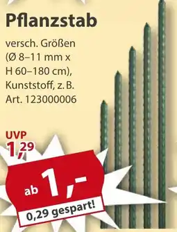 Sonderpreis Baumarkt Pflanzstab Angebot
