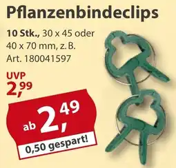 Sonderpreis Baumarkt Pflanzenbindeclips Angebot