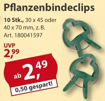Sonderpreis Baumarkt Pflanzenbindeclips Angebot