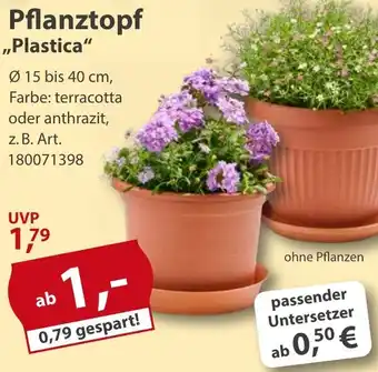 Sonderpreis Baumarkt Pflanztopf ,,Plastica" Angebot