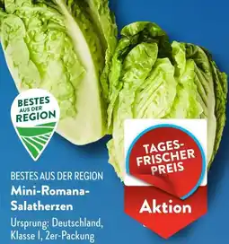 Aldi Süd Mini-Romana Salatherzen Angebot