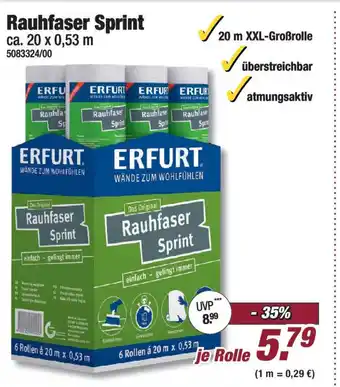Poco Rauhfaser Sprint Angebot