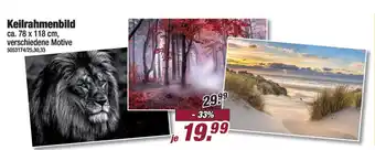 Poco Keilrahmenbild Angebot