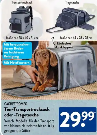 Aldi Süd CACHET/ROMEO Tier-Transportrucksack oder Tragetasche Angebot