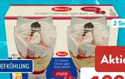 Aldi Süd Mucci Eisdessert Angebot