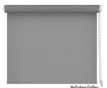 Aldi Süd cocoono Verdunkelungsrollo Angebot