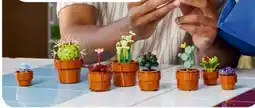 Aldi Süd LEGO 10329 Creator Expert Mini Pflanzen Angebot