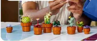 Aldi Süd LEGO 10329 Creator Expert Mini Pflanzen Angebot