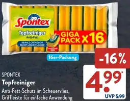 Aldi Süd SPONTEX Topfreiniger Angebot